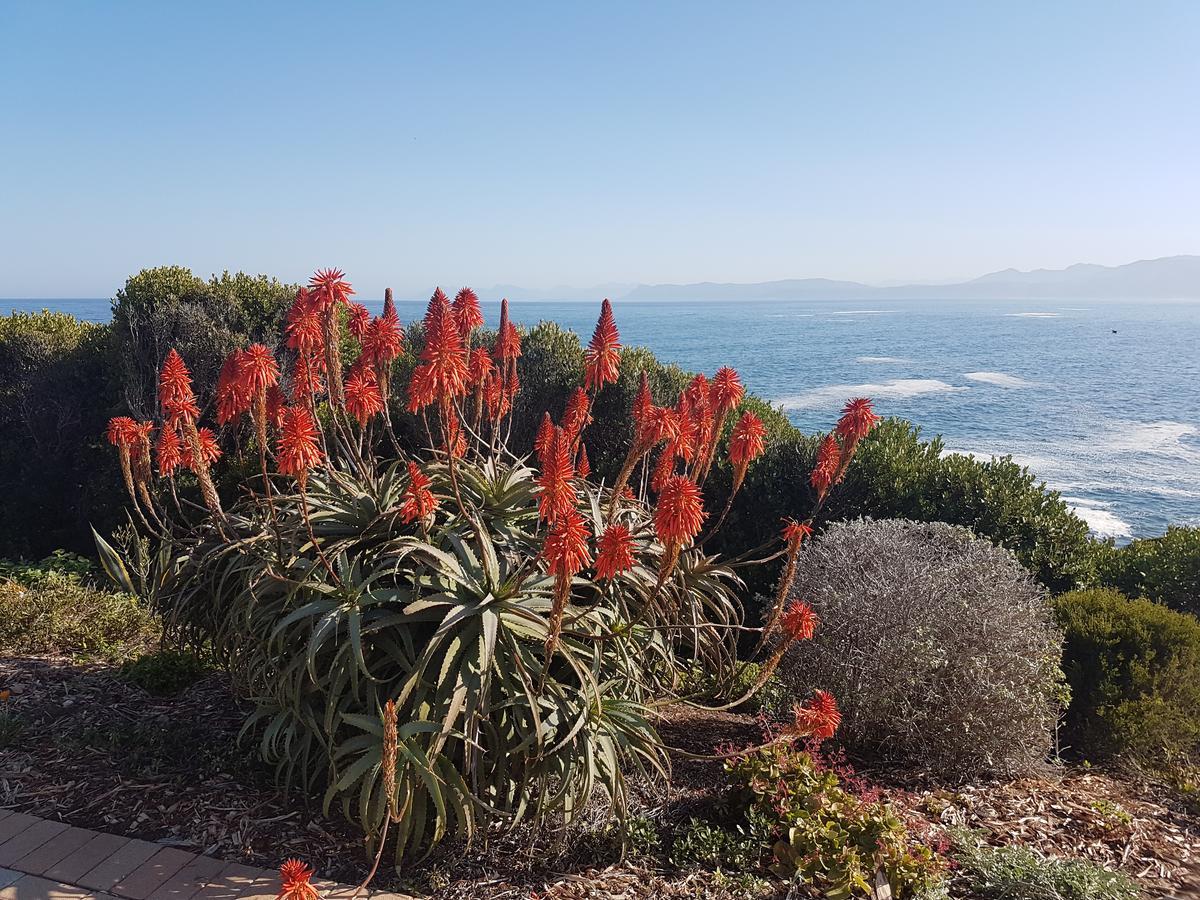 Nietverdiend Appartement Gansbaai Buitenkant foto