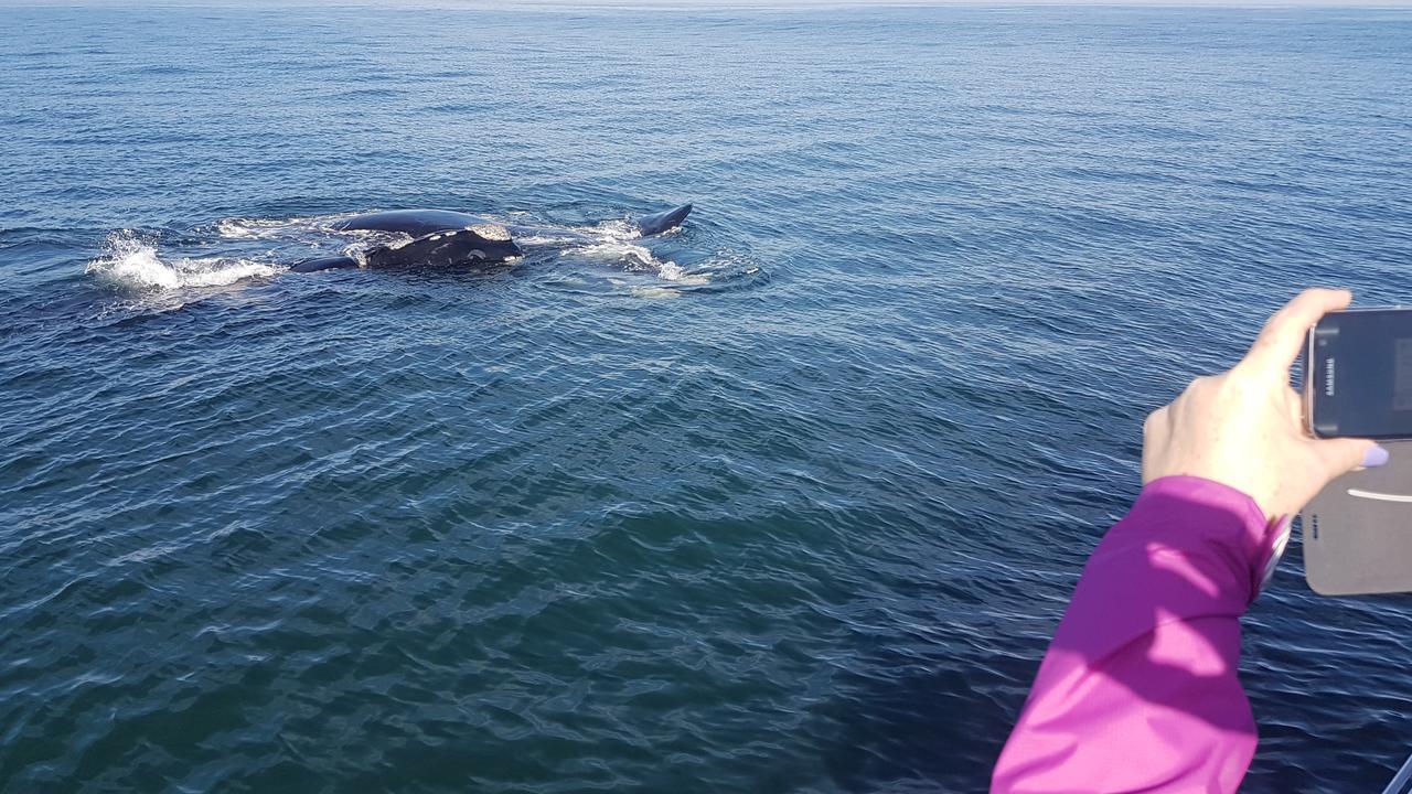 Nietverdiend Appartement Gansbaai Buitenkant foto